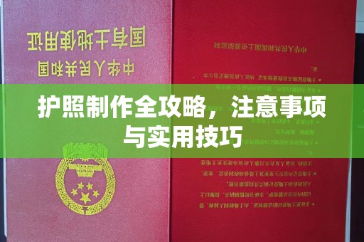 云城护照制作全攻略，注意事项与实用技巧