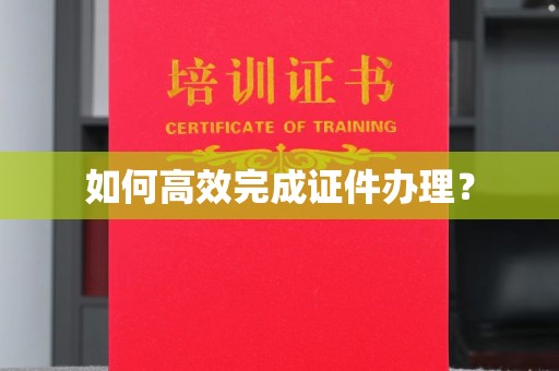 云城如何高效完成证件办理？
