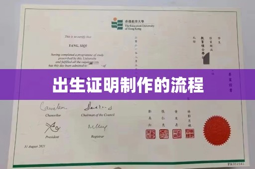 云城出生证明制作的流程