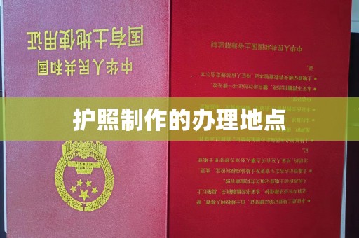 云城护照制作的办理地点