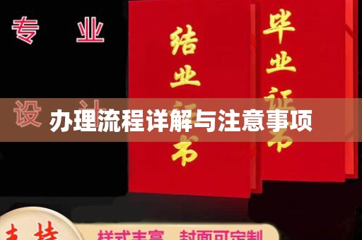云城办理流程详解与注意事项